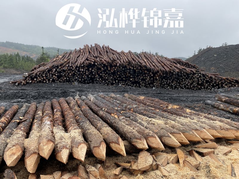 6米長松木樁有哪些作用，多少錢一根？