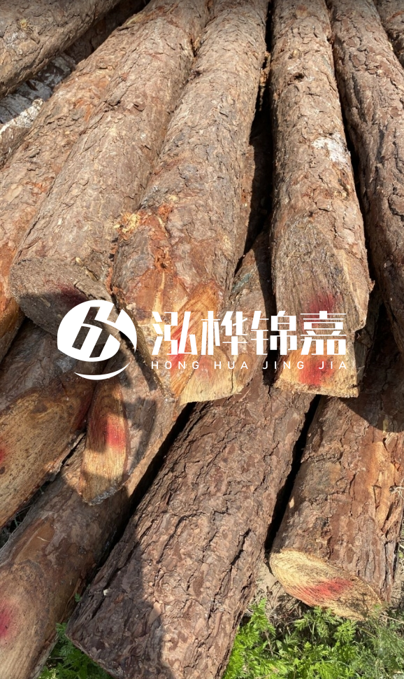 <strong>松木樁和杉木樁的用途區(qū)別？哪個(gè)更適合打樁用？</strong>