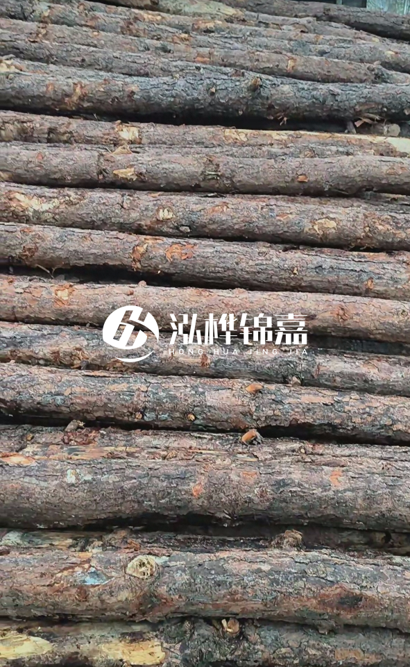 陽(yáng)江松木樁源頭廠家-哪一種打樁木最便宜？