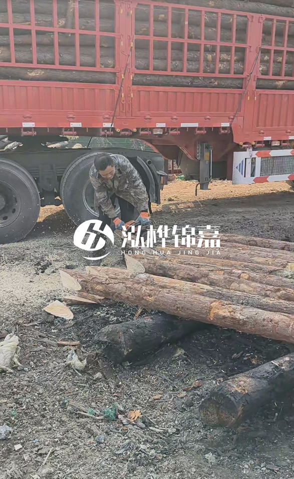 2米松木樁多少錢一根？15-20CM直徑價格是多少？