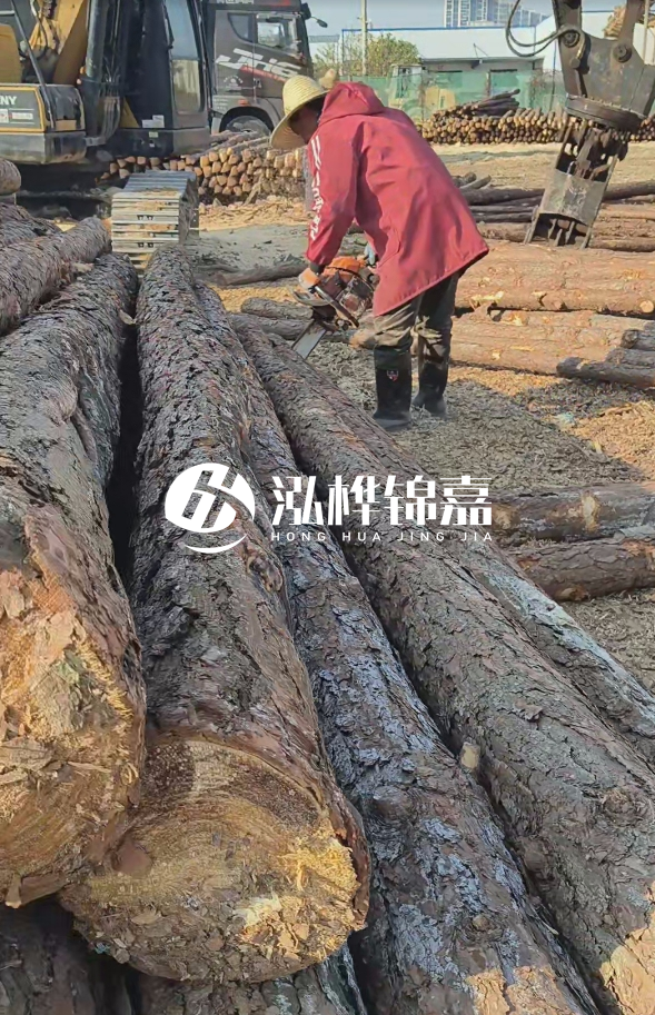長沙打樁木批發(fā)廠家在哪里？聯(lián)系方式是什么？