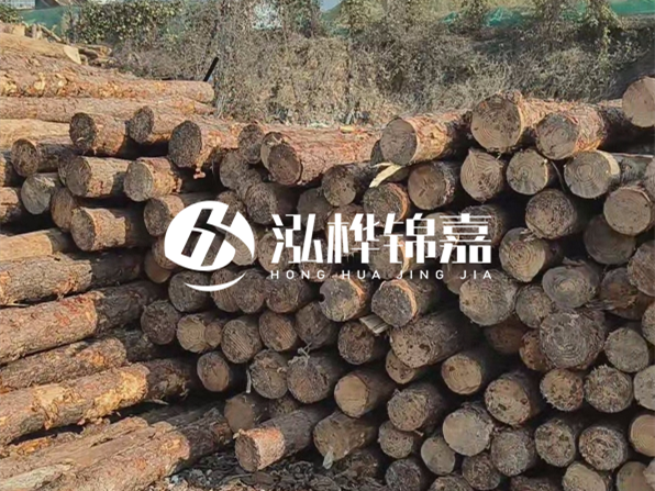落葉松木材的主要產(chǎn)地在哪里？為什么比其他松木更耐腐蝕？
