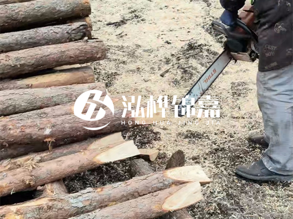 杉木樁批發(fā)廠家哪家好？產(chǎn)地直供渠道推薦！