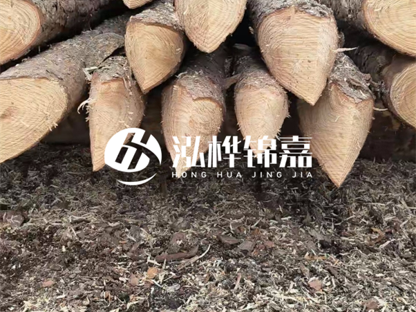 打樁木樁與鋼樁相比有哪些優(yōu)缺點？如何進行后期維護？