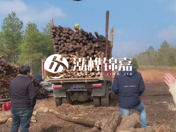 松木樁價格是按米算還是按根算？6米松木樁批發(fā)價每根多少錢？