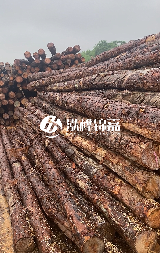 購(gòu)買松木樁注意事項(xiàng)有哪些-不同直徑松木樁區(qū)別有哪些？
