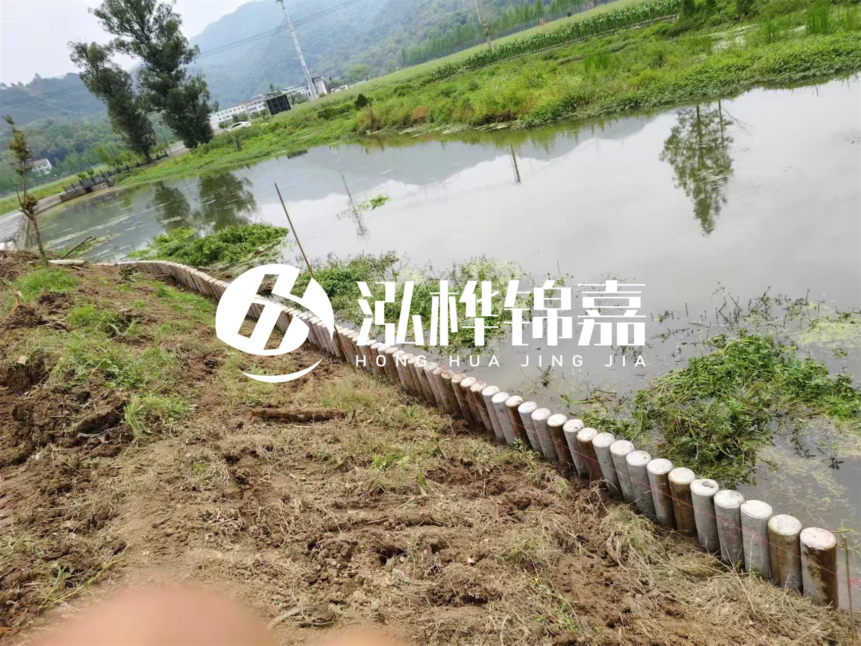 松木樁加固河道與水泥樁對比如何？哪一種更加適合您？