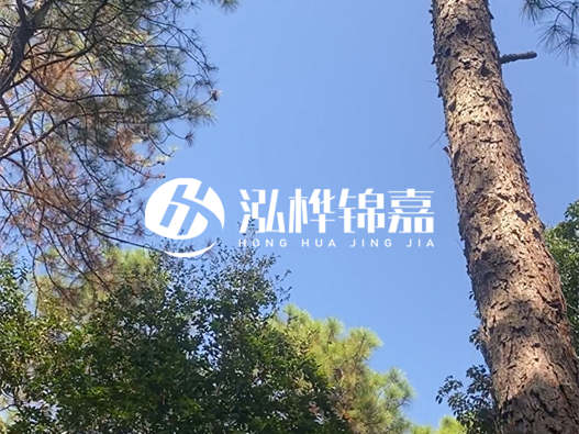 松木樁廠家泓樺錦嘉可以實地考察嗎？需要提前預約嗎？