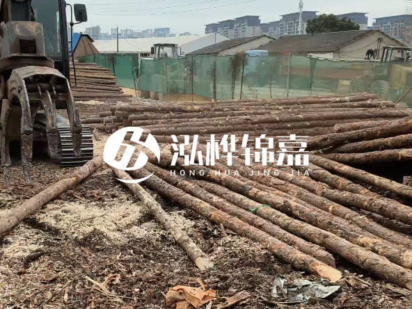 2 米長(zhǎng)度松木樁多少錢(qián)？松木樁 10 一 15 公分價(jià)格？