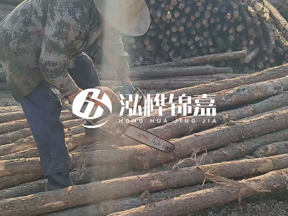 廣東打樁木源頭廠家泓樺錦嘉 - 如何選擇適合特定邊坡的松木樁？