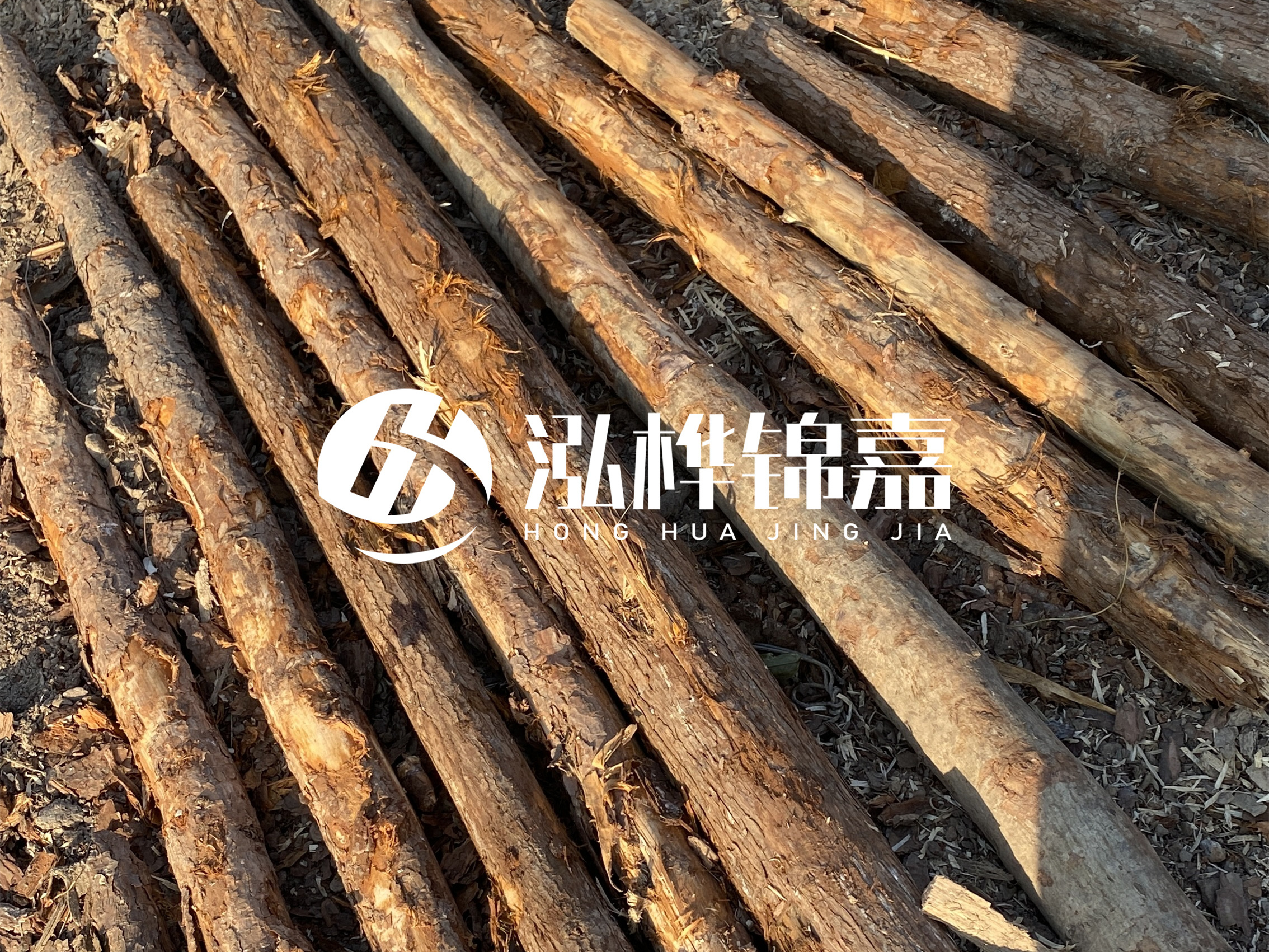 河道木樁多少錢(qián)一根？河道木樁的使用以及保養(yǎng)方法?
