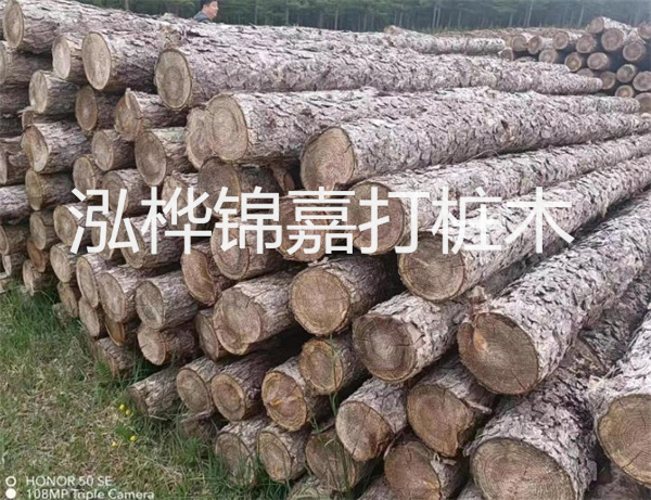 高效修補，保駕護航！水泥路面高強度修補料為您解決煩惱！