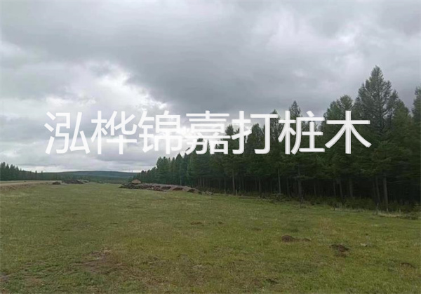 軟土地基加固措施，保障建筑穩(wěn)固