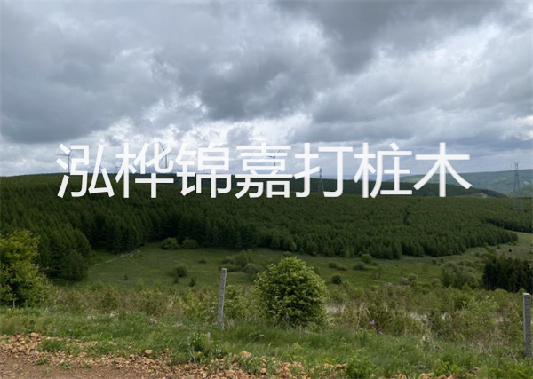 松木樁能重復施工么？