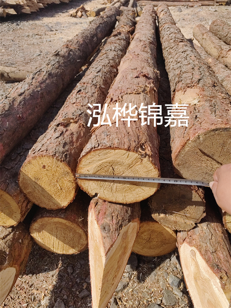 樓板承重第三方檢測機(jī)構(gòu)——保障建筑安全的重要力量