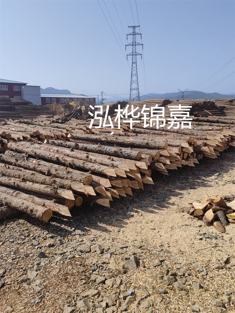 深入了解松木樁基礎施工單價，助力工程建設順利進行！
